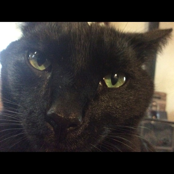 Meet your Posher, Victoria - Picture 7 of 14